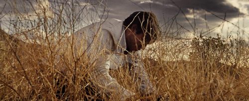 دانلود موسیقی متن فیلم Nocturnal Animals (حیوانات شب زی)