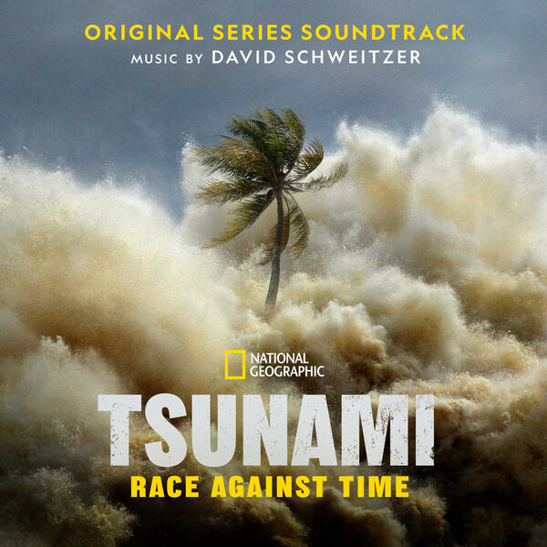 دانلود موسیقی متن سریال Tsunami Race Against Time