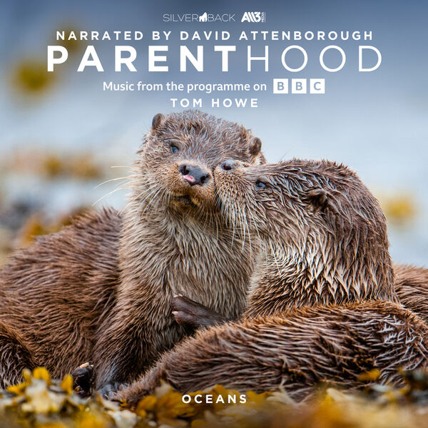 دانلود موسیقی متن سریال Parenthood