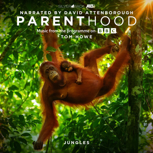 دانلود موسیقی متن سریال Parenthood
