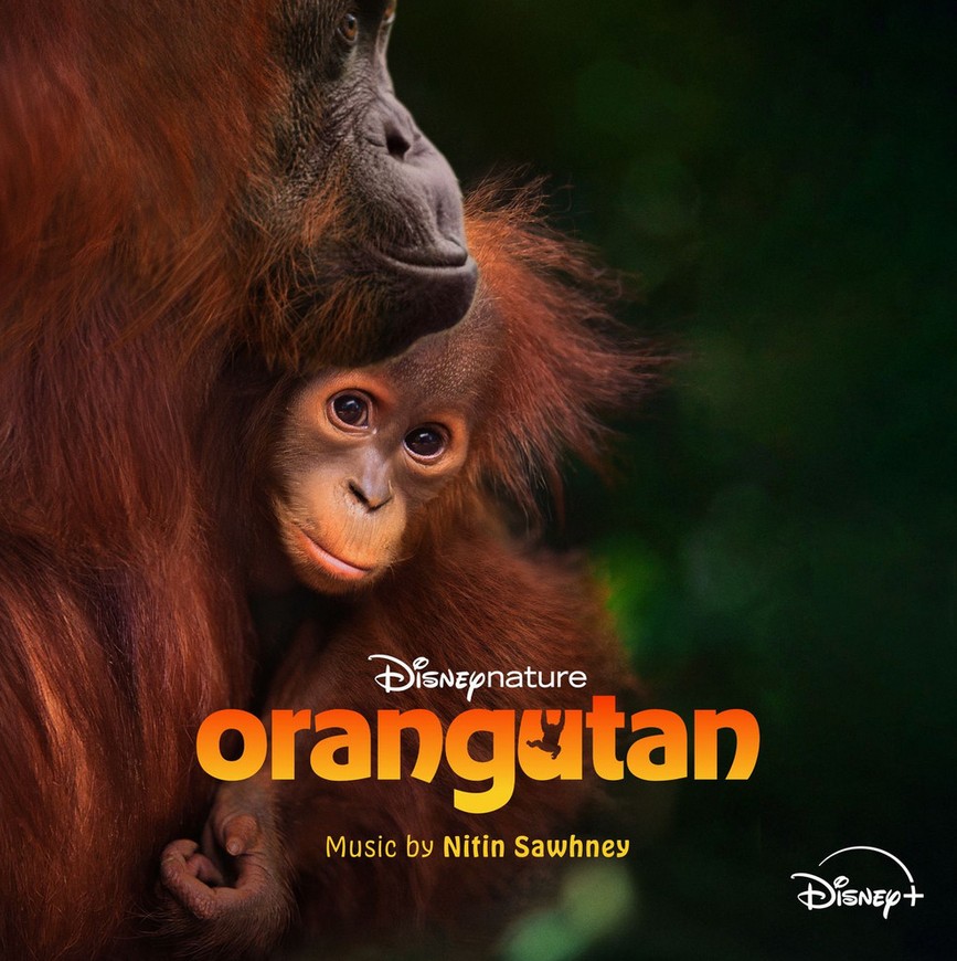 دانلود موسیقی متن فیلم Disneynature Orangutan