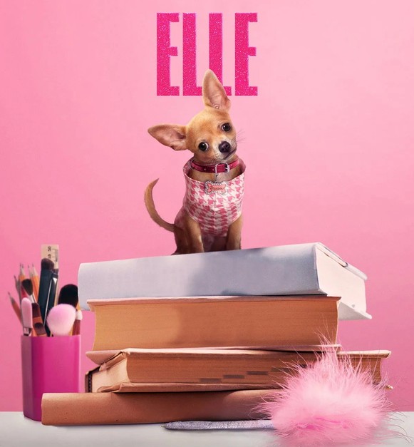 دانلود موسیقی متن سریال Elle (الی)